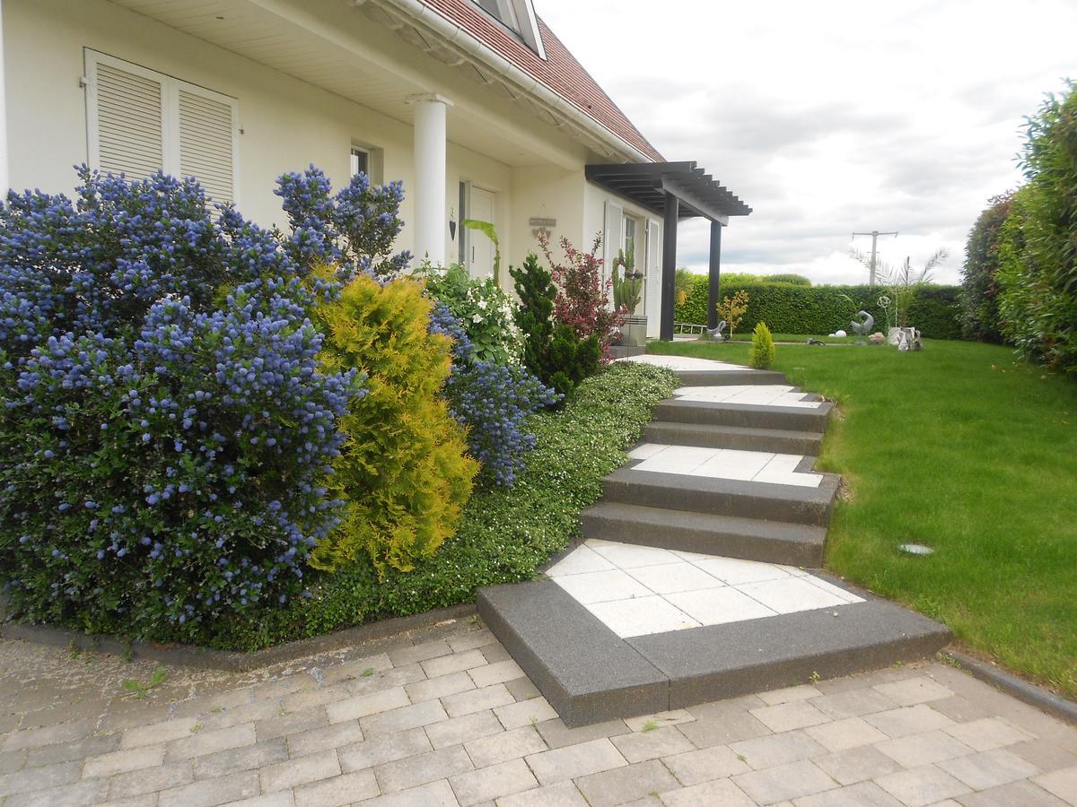Bed and Breakfast Au Coeur Du Vignoble Orschwiller Exterior foto