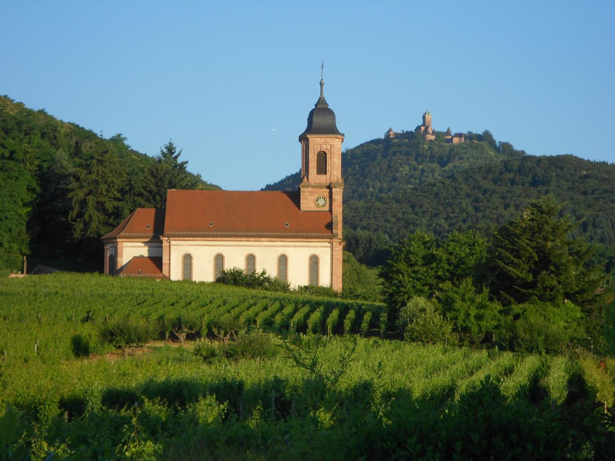 Bed and Breakfast Au Coeur Du Vignoble Orschwiller Exterior foto